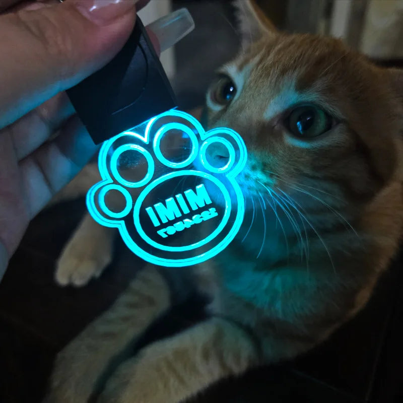 Personalized Illuminated Acrylic Pet ID Tag - Custom Laser-Engraved Safety Pendant for Dogs and Cats