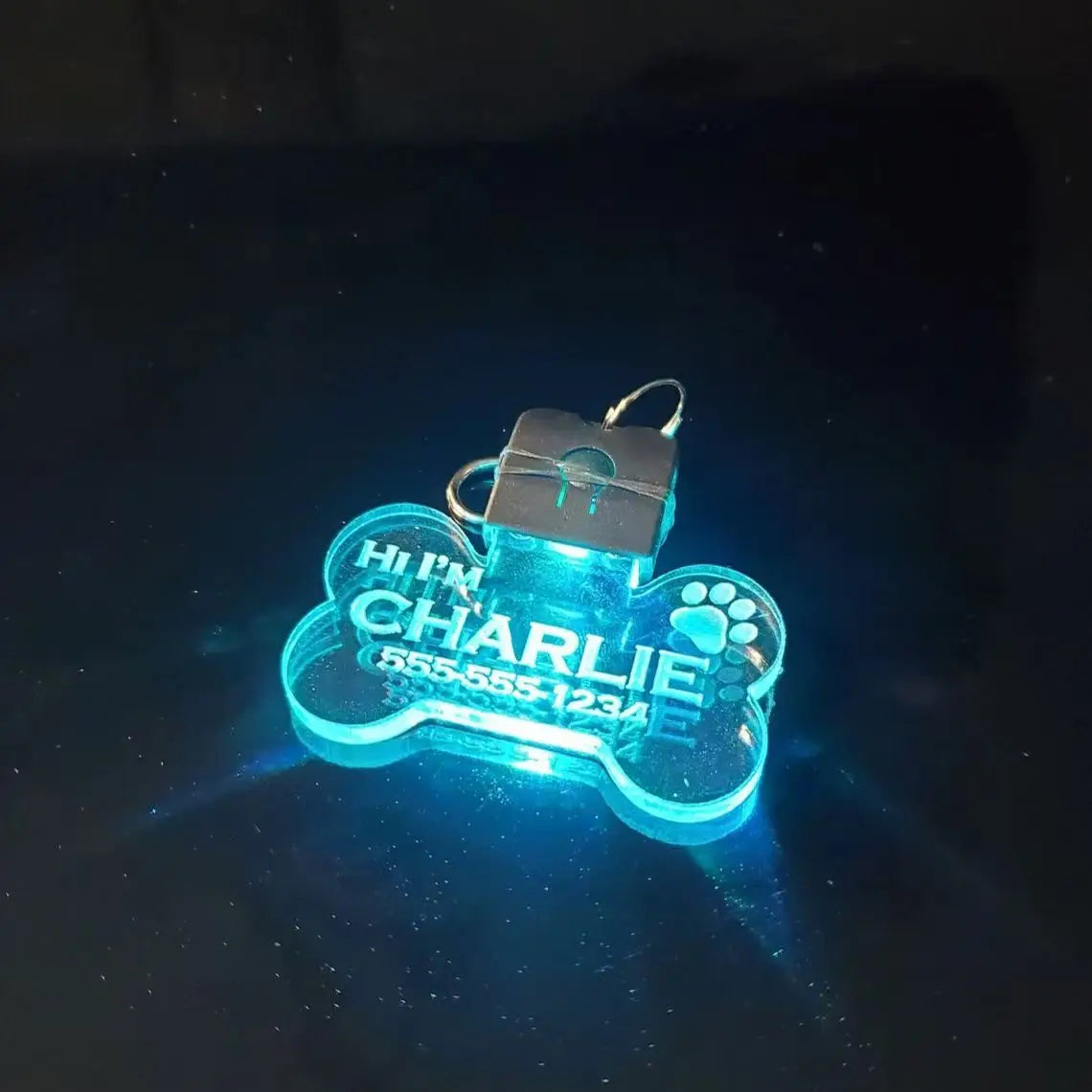 Personalized Illuminated Acrylic Pet ID Tag - Custom Laser-Engraved Safety Pendant for Dogs and Cats