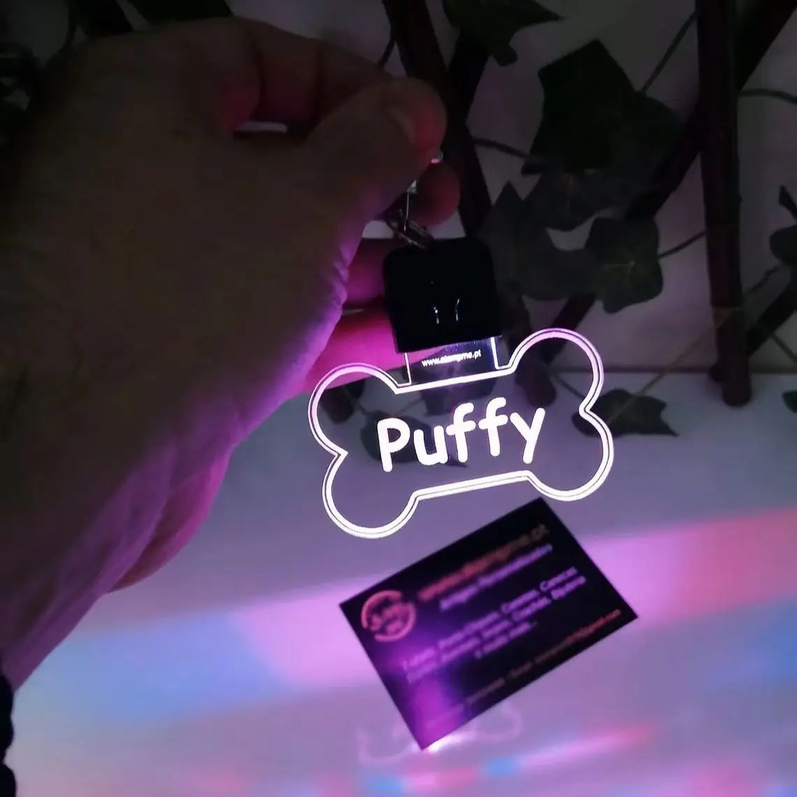 Personalized Illuminated Acrylic Pet ID Tag - Custom Laser-Engraved Safety Pendant for Dogs and Cats