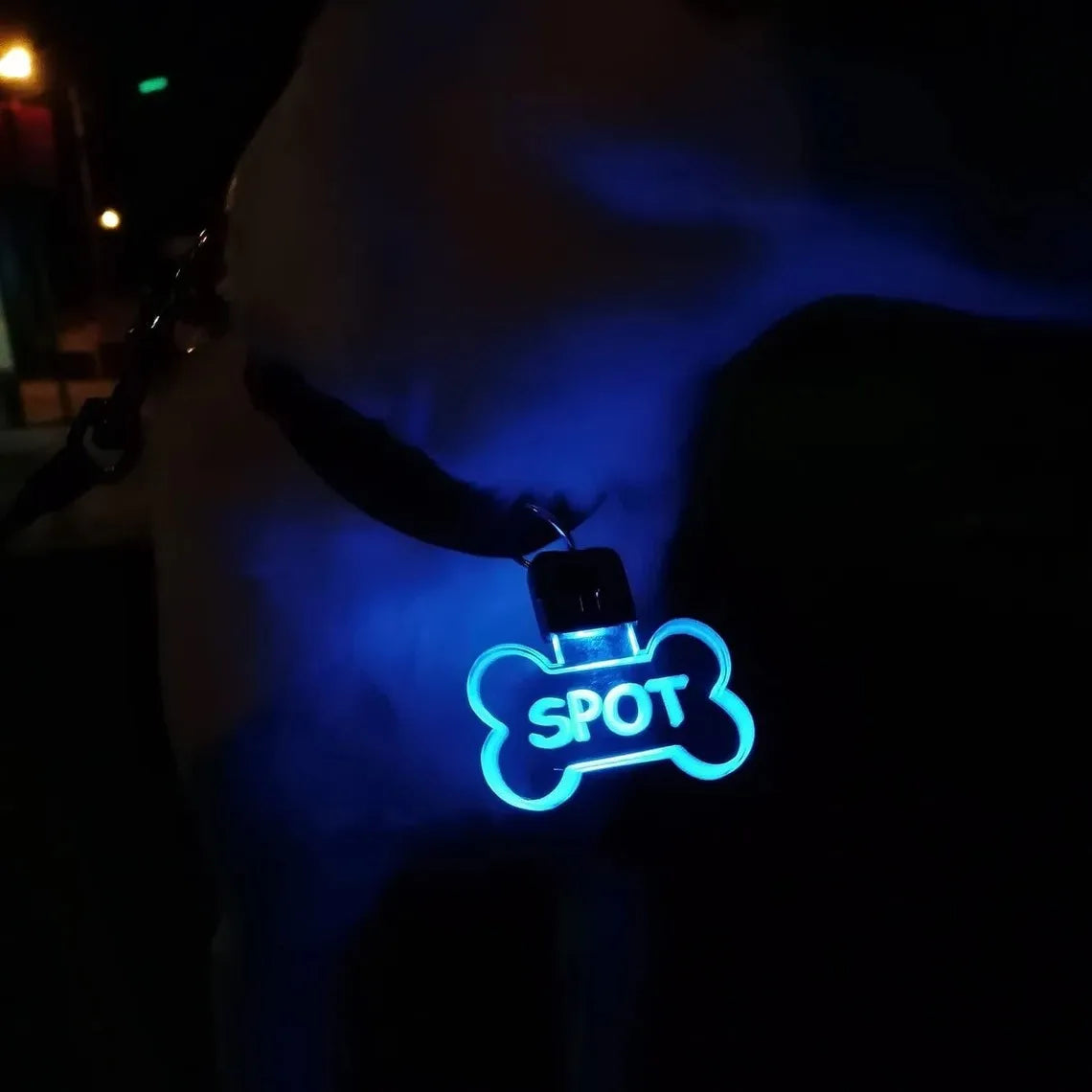 Personalized Illuminated Acrylic Pet ID Tag - Custom Laser-Engraved Safety Pendant for Dogs and Cats