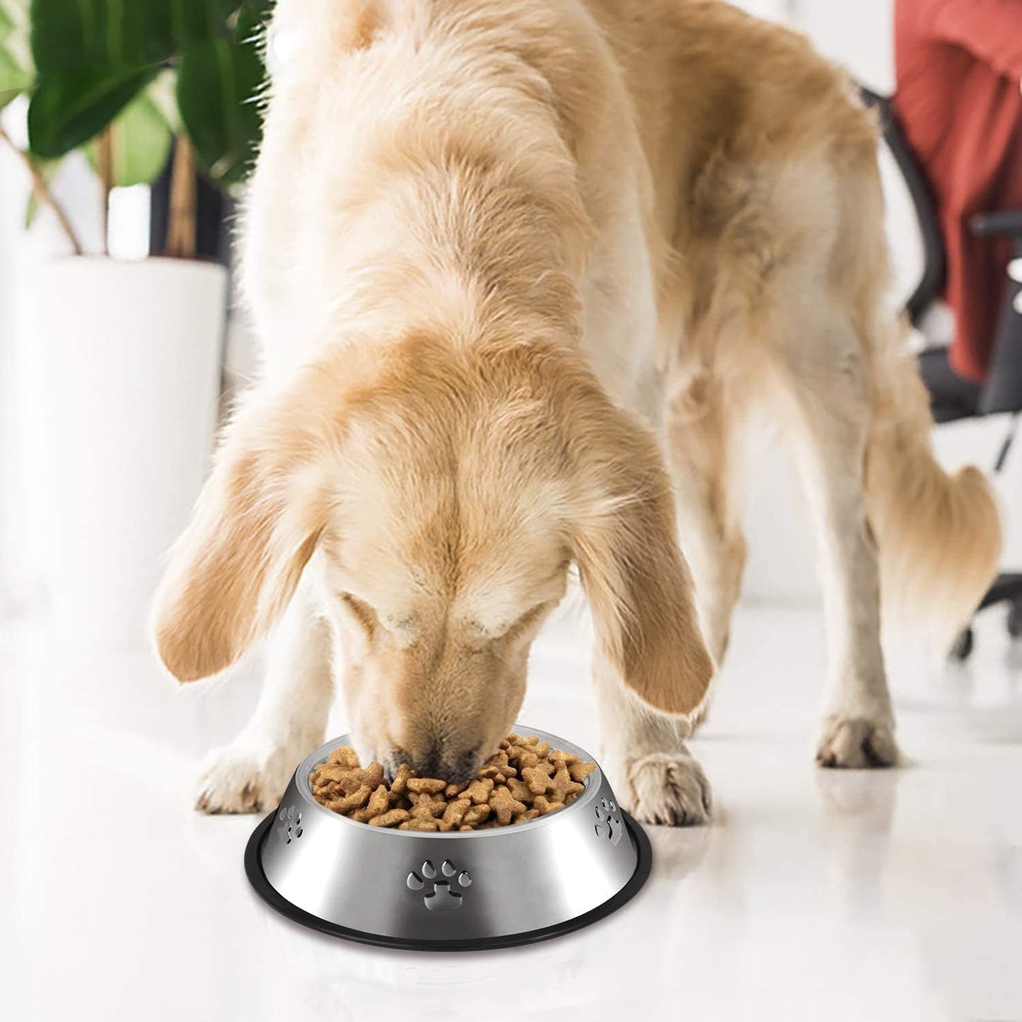Stainless Steel Dog Bowls with Rubber Base - Medium and Large Pet Feeding and Water Bowls (XL - 51 oz)