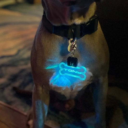 Personalized Illuminated Acrylic Pet ID Tag - Custom Laser-Engraved Safety Pendant for Dogs and Cats