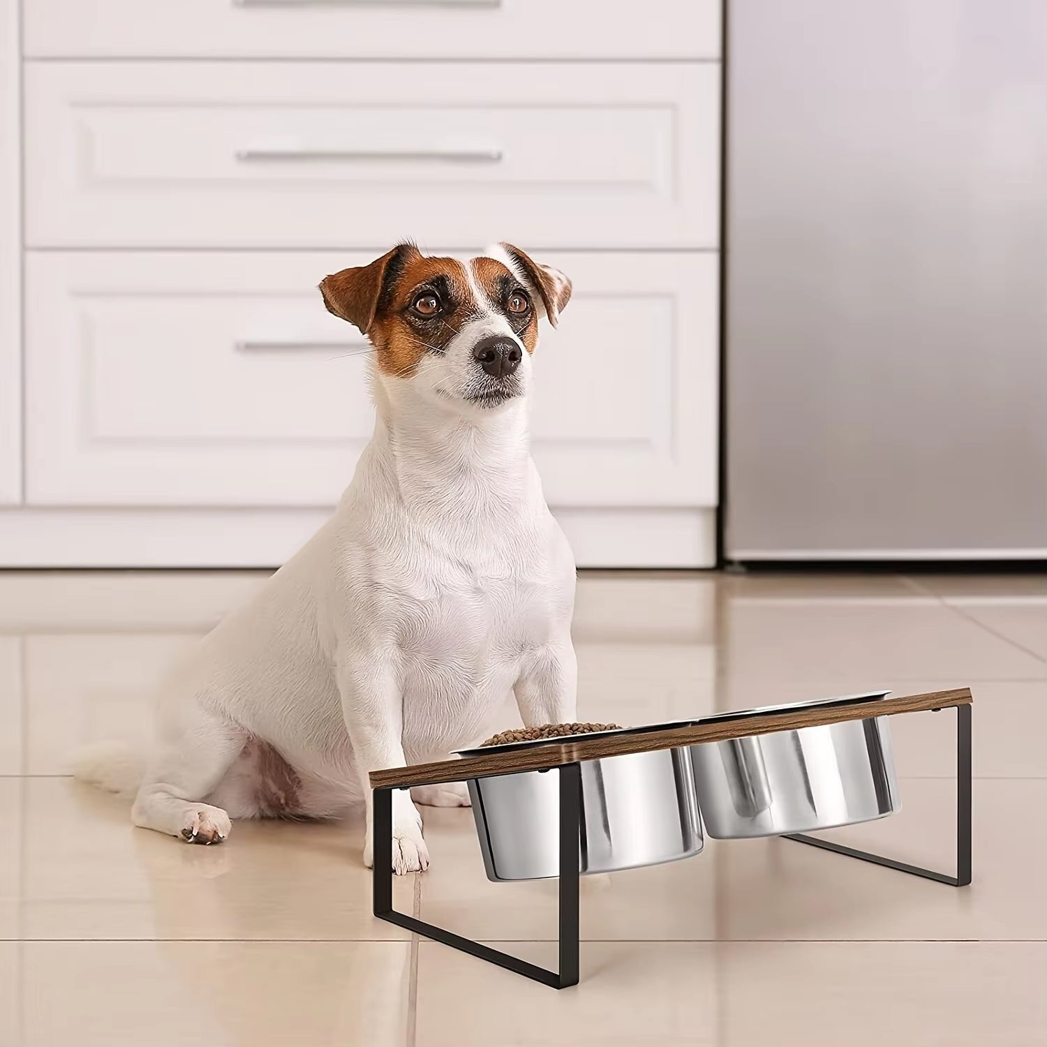 Elevated Dog Bowls Cat Bowls Raised Pet Feeder Cat Food & Water Diner Stand Set Stainless Steel Food Bowls Stand for Pet Dog Cat